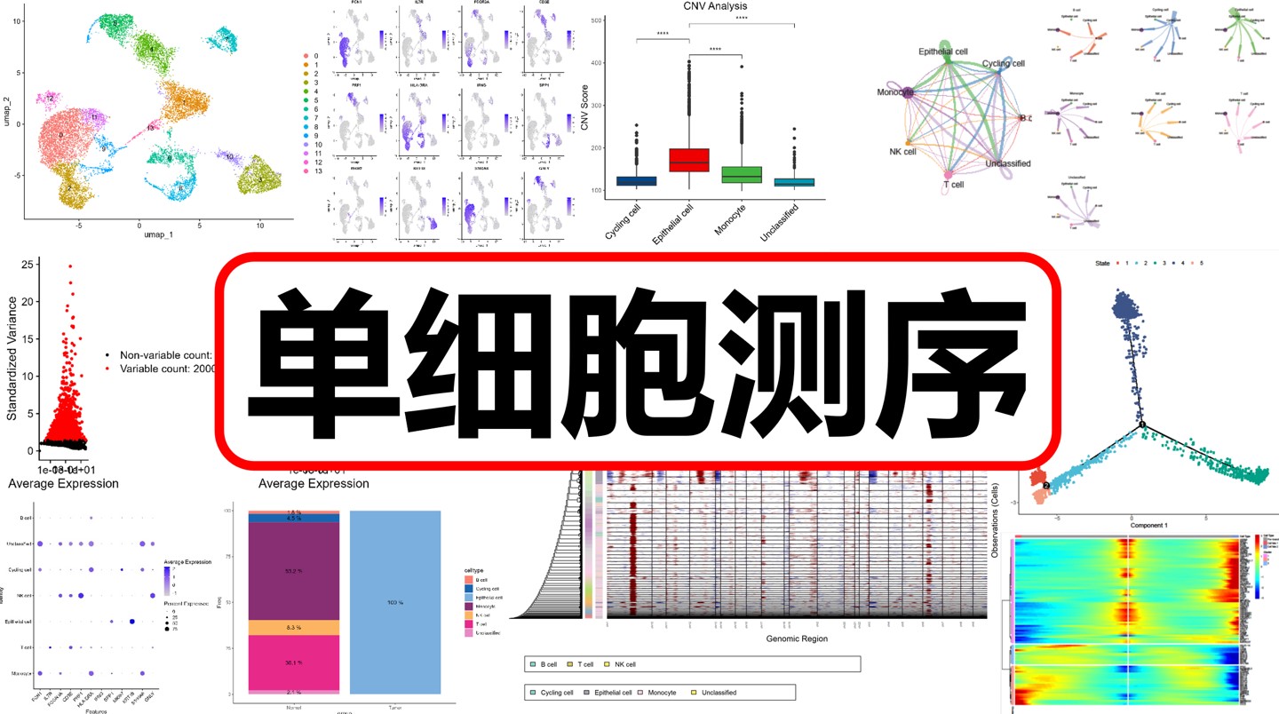 课程封面