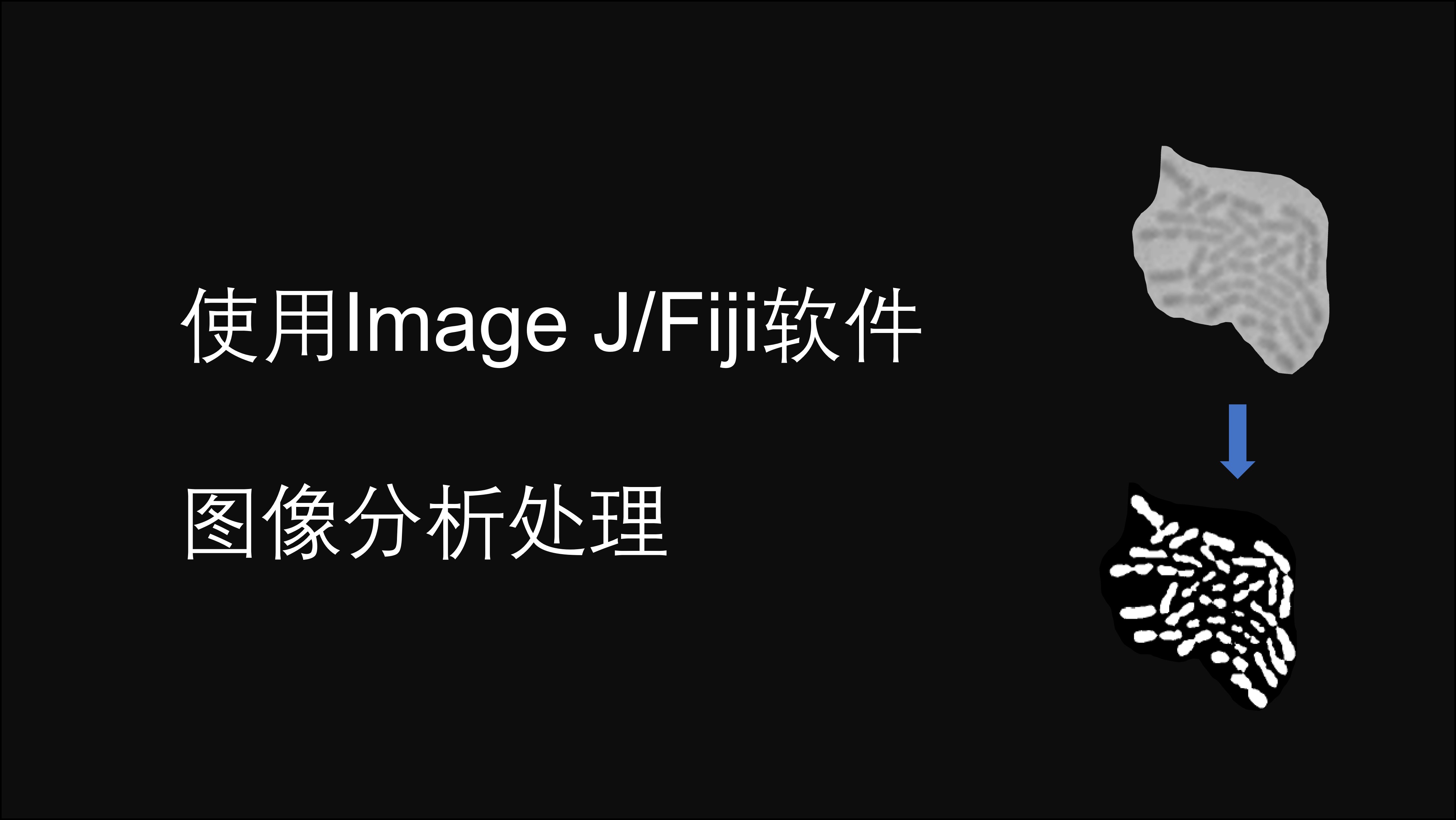 课程封面