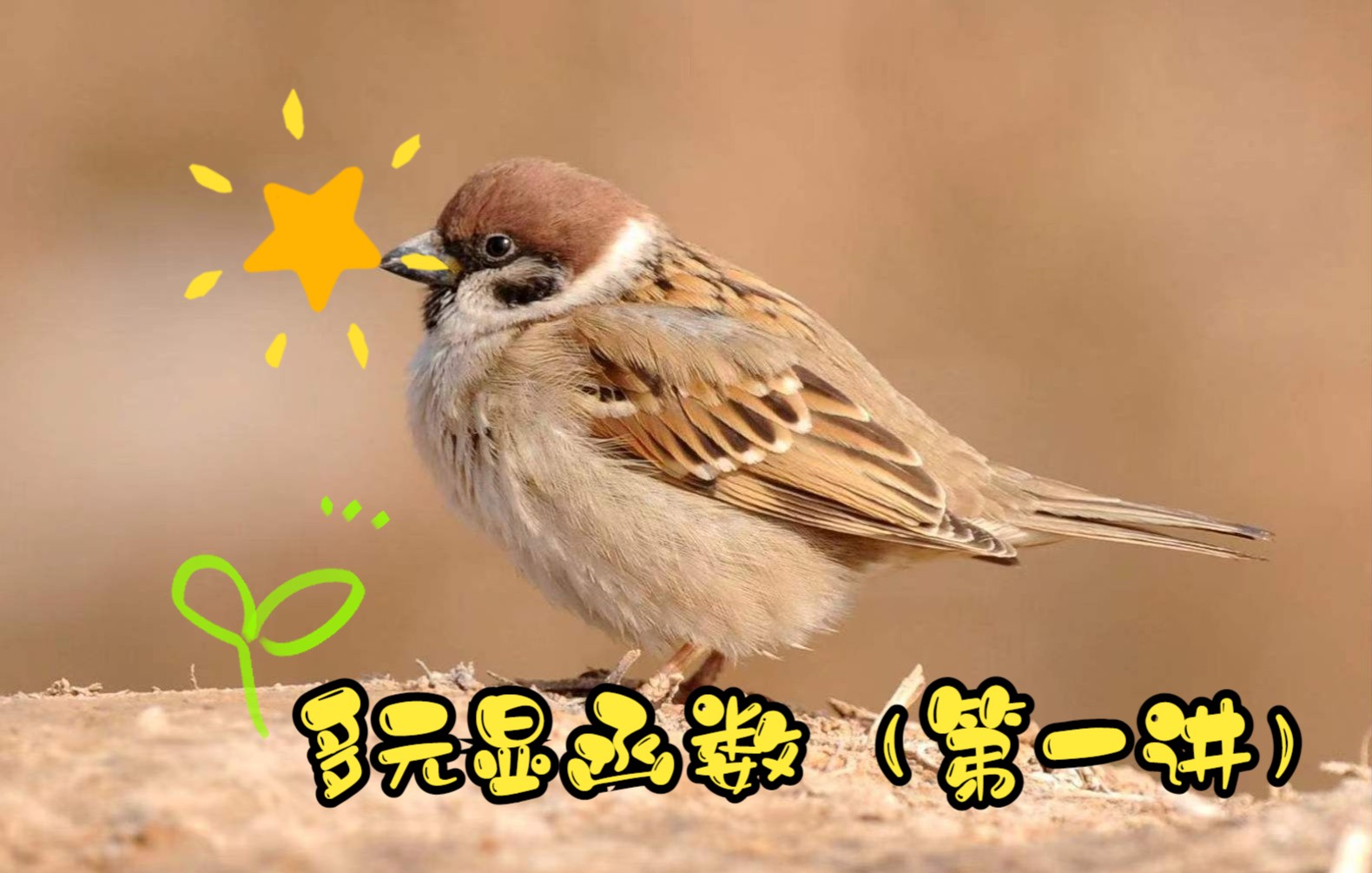 课程封面