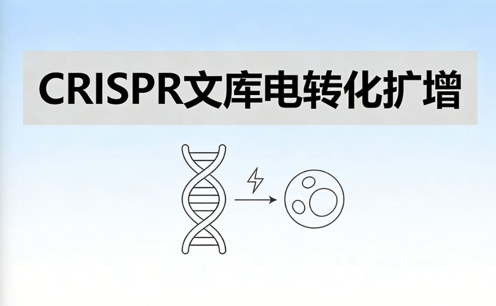 课程封面