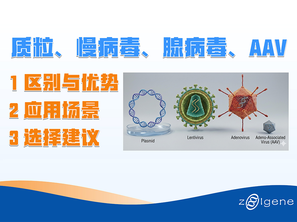 读研那些事