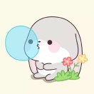讲师头像