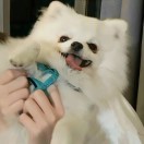 讲师头像